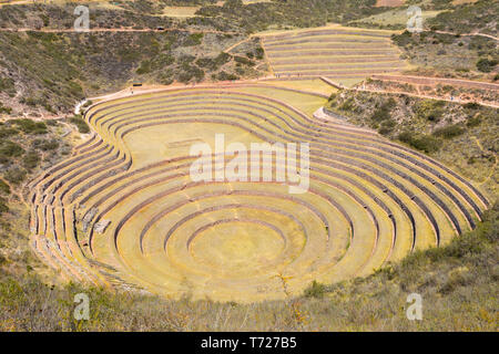Moray sito archeologico di Cuzco, Perù Foto Stock