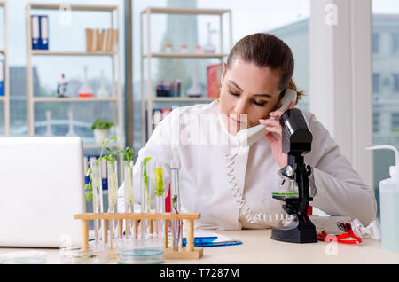 Femmina scienziato biotecnologia farmacia in laboratorio Foto Stock