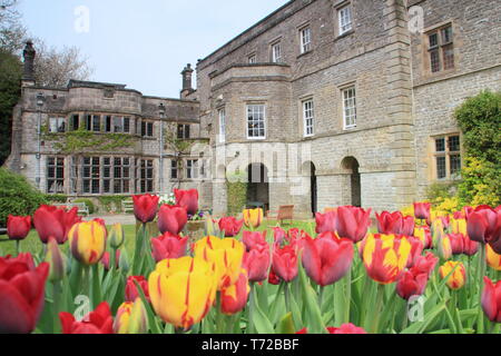 Tissington hall giardini in primavera, nei pressi di Ashbourne nel Parco Nazionale di Peak District, Derbyshire,l'Inghilterra, Regno Unito Foto Stock