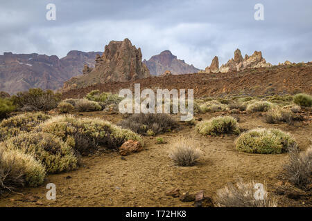 Vista del paesaggio nel Parco Nazionale del Teide. Tenerife, Isole Canarie, Spagna Foto Stock