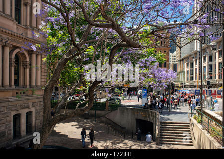 Sydney town hall gardens presso la George Streer. Sydney, Nuovo Galles del Sud, Australia Foto Stock
