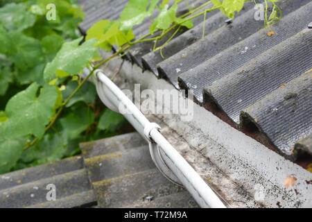 Casa tetto di amianto nella pioggia con un primo piano di un tubo di grondaia di plastica pulito del tetto. Foto Stock