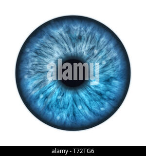 Blu iris umana Foto Stock