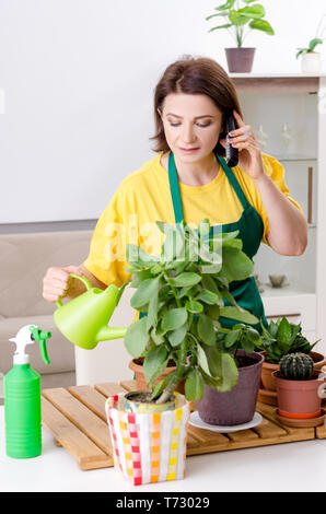 Giardiniere femmina con piante in ambienti interni Foto Stock