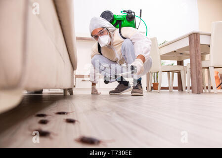Pest Control imprenditore lavora nell'appartamento Foto Stock