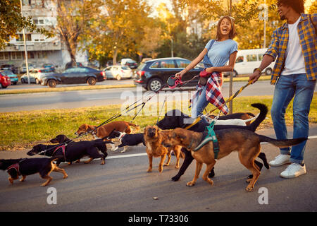 Professional giovane dog walker con cani godendo in passeggiata all'aperto. Foto Stock