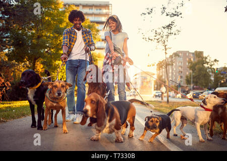 Professional walkers cane godendo nel camminare con i cani all'esterno. Foto Stock