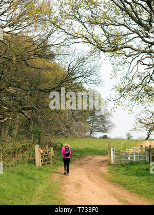 Trekker a piedi lungo un sentiero in Surrey Hills Foto Stock