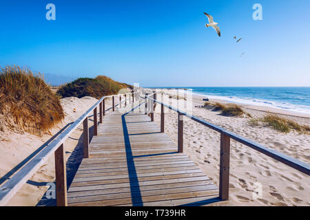 Percorso di legno a Costa Nova d'Aveiro, Portogallo, oltre le dune di sabbia con vista oceano e gabbiani sorvolano Praia da barra. Passerella in legno di Costa Nova Foto Stock