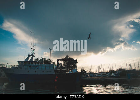 Seagull volare sopra le barche Foto Stock