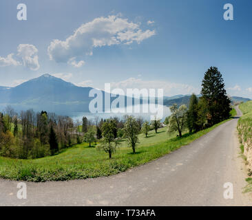 Strada di campagna che conduce attraverso la molla di prati e frutteti con la fioritura dei ciliegi al di sopra del lago di Zug in Svizzera Foto Stock