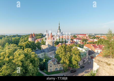 Vista su Saint Olaf chiesa da un punto di vista situato nel distretto di Toompea della vecchia città alla fine di un pomeriggio d'estate, Tallinn, Estonia Foto Stock