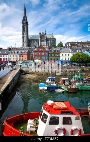 Barca racing con barche ormeggiate nel porto e San Colman's Cathedral in background; Cobh, nella contea di Cork, Irlanda Foto Stock