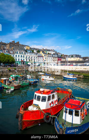 Barca racing con barche ormeggiate nel porto; Cobh, nella contea di Cork, Irlanda Foto Stock