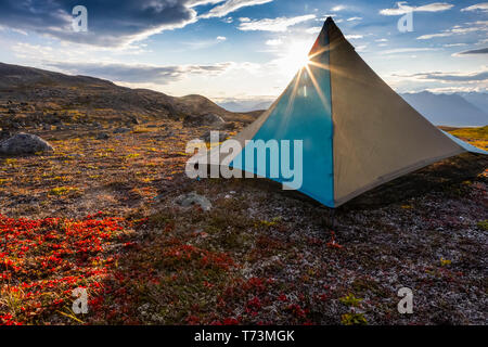 Tenda accampata sulla tundra, prima sera con il sole che viene da dietro esso, lungo il Kesugi Ridge Trail, Denali state Park, Alaska in autunno, ... Foto Stock