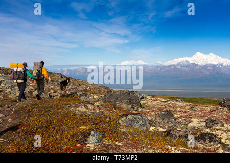 Donna e uomo backpacking con il loro cane sulla tundra in una giornata di autunno soleggiato lungo il Kesugi Ridge Trail, Denali state Park, Alaska con... Foto Stock