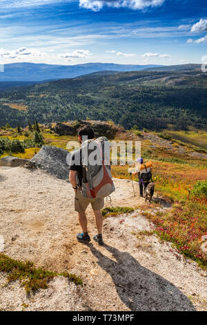 Donna e uomo backpacking con il loro cane sulla tundra verso Denali e l'Alaska Range, lungo il Kesugi Ridge Trail, Denali state Park, su un s... Foto Stock