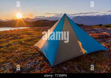 Tenda piantata sulla tundra con Denail, Alaska Range, e Denali National Park e riserva visto al tramonto sopra stagno e tundra dal Denali state Park ... Foto Stock
