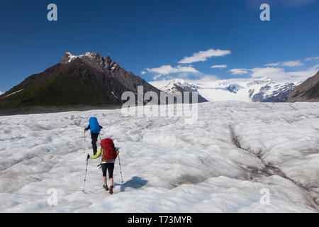 Coppia backpacking attraverso il Root Glacier con ramponi durante l'estate verso Donoho Peak, Wrangell Mountains, Wrangell-St Parco Nazionale Elias... Foto Stock