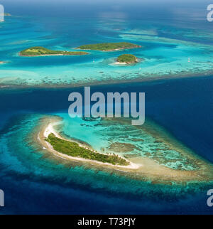 Vista aerea di Tobago Cays, Saint Viincent e Grenadine, dei Caraibi Foto Stock