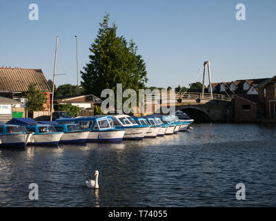 Barche a motore e incrociatori, ormeggiato sul fiume Bure a Wroxham, capitale di Norfolk Broads, Wroxham, Norfolk, Inghilterra, Regno Unito Foto Stock