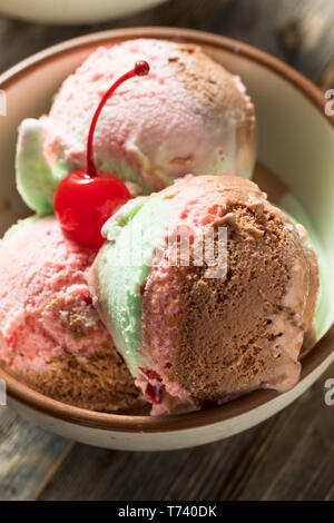 Spumoni dolci gelato con pistacchio ciliegia e cioccolato Foto Stock