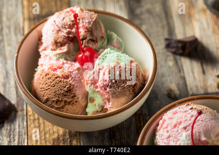 Spumoni dolci gelato con pistacchio ciliegia e cioccolato Foto Stock