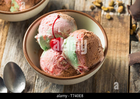 Spumoni dolci gelato con pistacchio ciliegia e cioccolato Foto Stock