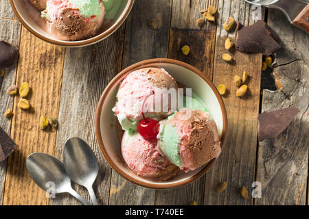 Spumoni dolci gelato con pistacchio ciliegia e cioccolato Foto Stock