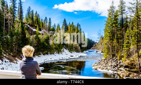 Donna senior presso la parzialmente congelato fiume Murtle dopo Mushbowl cade nel Cariboo montagne di Grey Parco Provinciale, British Columbia, Canada Foto Stock