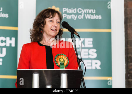 Jill Evans europarlamentare - Plaid Cymru membro del Parlamento europeo per il Galles Foto Stock