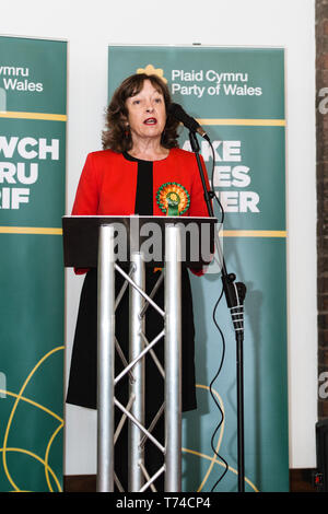 Jill Evans europarlamentare - Plaid Cymru membro del Parlamento europeo per il Galles Foto Stock