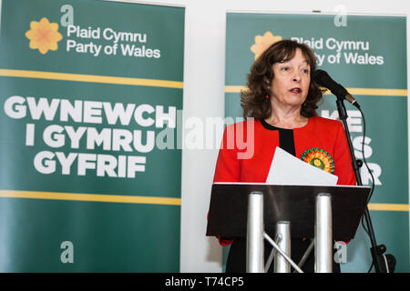 Jill Evans europarlamentare - Plaid Cymru membro del Parlamento europeo per il Galles Foto Stock