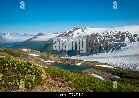 Kenai Fjords National Park è mostrato come vampate di nebbia galleggiare sul ghiacciaio di uscita in una giornata di metà estate come visto dal Harding Icefield Trail in South-ce... Foto Stock