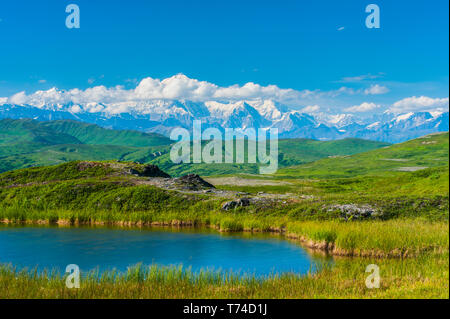 20,320' Mount Denali (precedentemente chiamato Monte McKinley) su una soleggiata giornata estiva come si vede dalla Peters Hills nel Denali State Park nel sud-centrale di Alaska Foto Stock