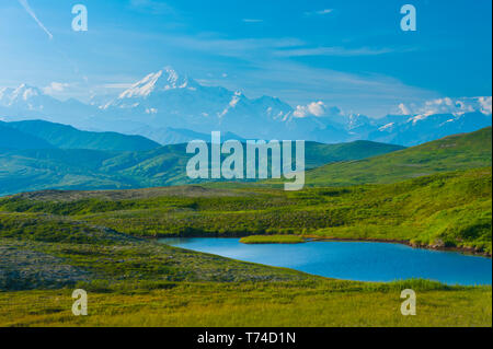 20,320' Mount Denali (precedentemente chiamato Monte McKinley) su una soleggiata giornata estiva come si vede dalla Peters Hills nel Denali State Park nel sud-centrale di Alaska Foto Stock