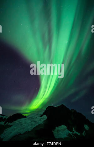 Luci del nord oltre Juneau Icefield, Tongass National Forest; Alaska, Stati Uniti d'America Foto Stock