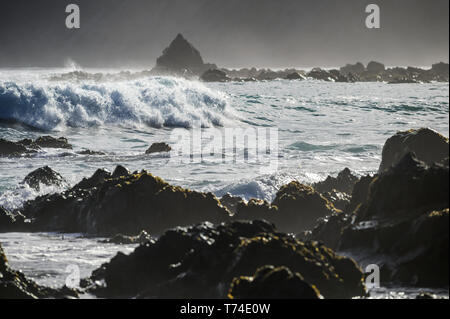 Spruzzi delle onde che si rompono vicino alla riva e aspre rocce lungo la costa meridionale; Wellington, Nuova Zelanda Foto Stock