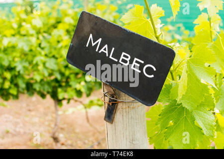 'Malbec' segno su un palo di legno in un vigneto con foglie di vite in uno sfondo sfocato; Maipu, Mendoza, Argentina Foto Stock