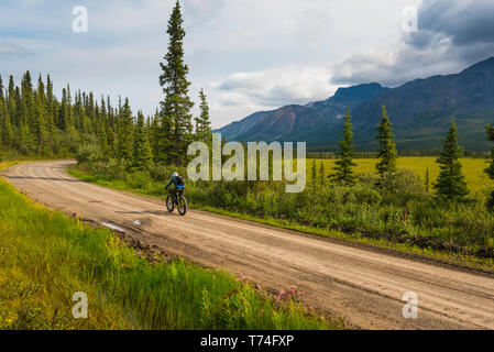 Un uomo grasso in bicicletta sulla strada Nabesna in Wrangell-St. Elias National Park e conservare in un nebbioso giorno di estate nel centro-sud della Alaska Foto Stock
