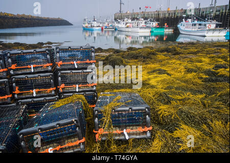 Aragosta impilati trappole lungo il litorale con barche legato ad una banchina in background per la Baia di Fundy; Tiverton, Long Island, Nova Scotia, Canada Foto Stock