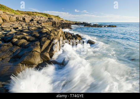 Il basalto rock cliffs, Punto di Dartmouth, Baia di Fundy; Long Island,Nova Scotia, Canada Foto Stock