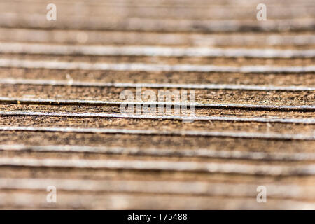 Macro shot dal di sopra del pezzo di legno Foto Stock