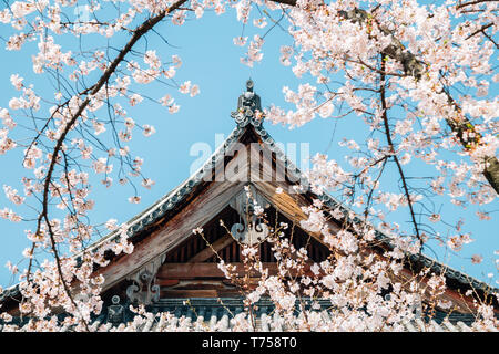 Tetto tradizionale e fiori ciliegio al Tempio Toji a Kyoto, Giappone Foto Stock