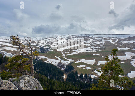 Albero solitario su una rupe sullo sfondo di montagne innevate Foto Stock