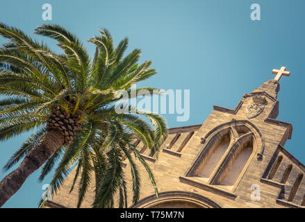 Un antica chiesa storica (Sant Jaume) e un albero di Palma di Mallorca, Spagna, con spazio di copia Foto Stock
