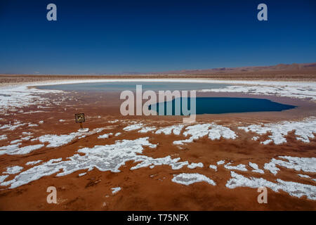 Baltinache lagune nascosti i laghi di sale nel deserto di Atacama Foto Stock