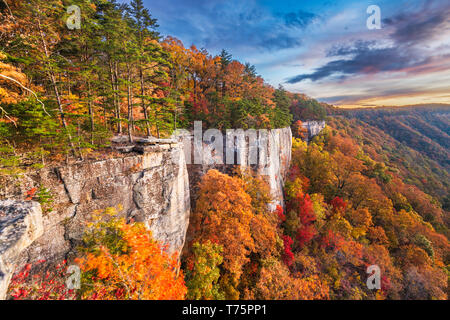 New River Gorge, Virgnia occidentale, USA la mattina autunnale paesaggio presso la parete infinita. Foto Stock