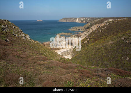 Brughiera costiere sul Capo Frehel promontorio Bretagna Francia Foto Stock