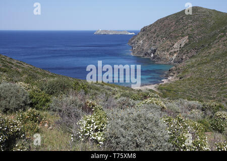 Capo Grosso e garrigue con l'isola de Giraglia al di là di Corsica Francia Foto Stock